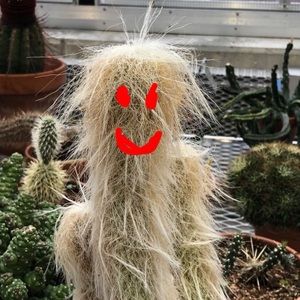 Meet your Posher, Zoe